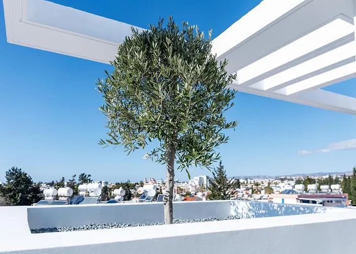 Отель Regency Boutique